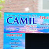 camill2